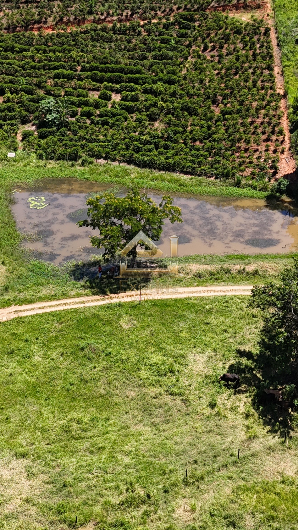 Propriedade Rural em Atílio Vivacqua