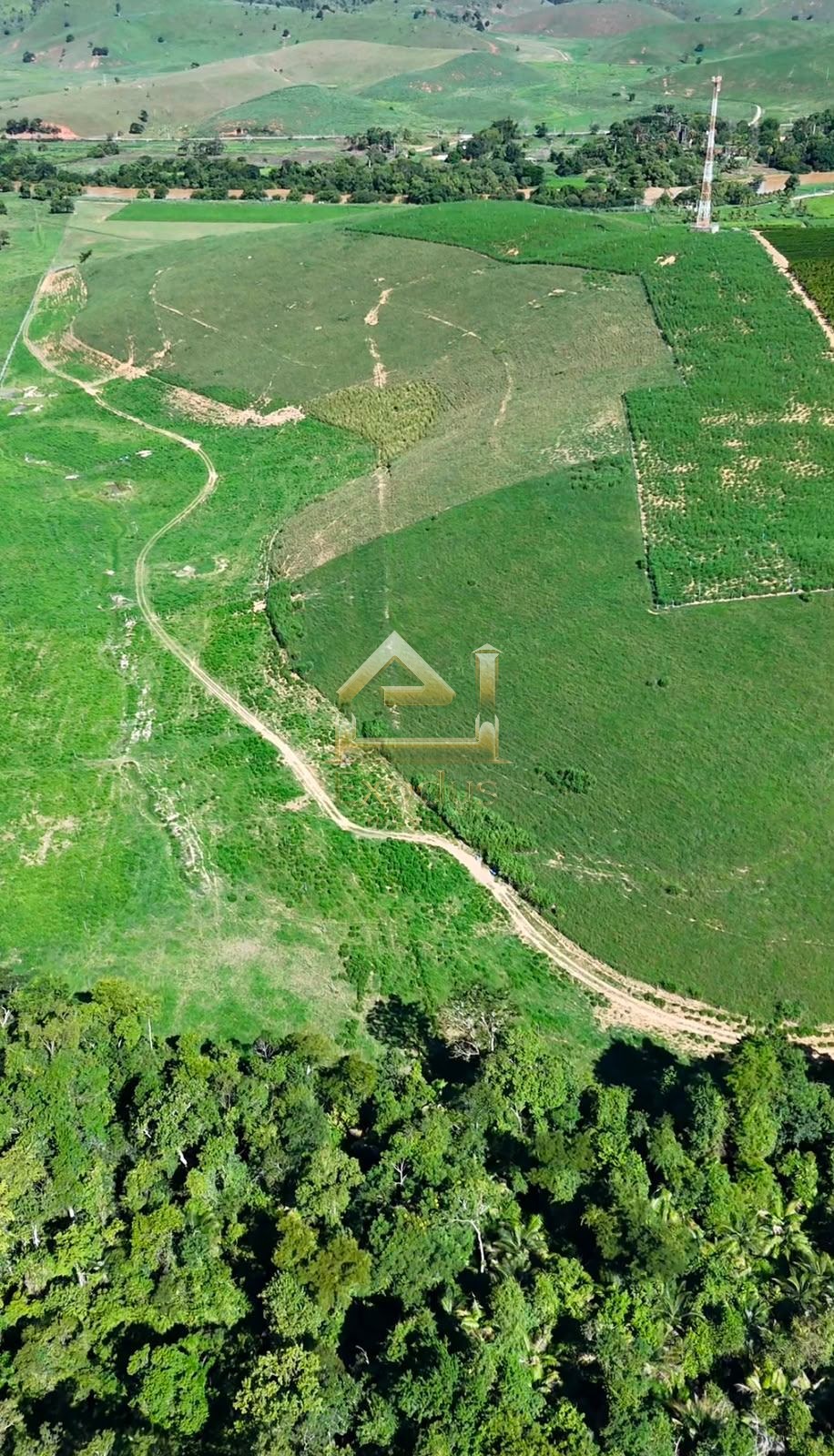 Propriedade Rural à 20 min de Cachoeiro — foto 5