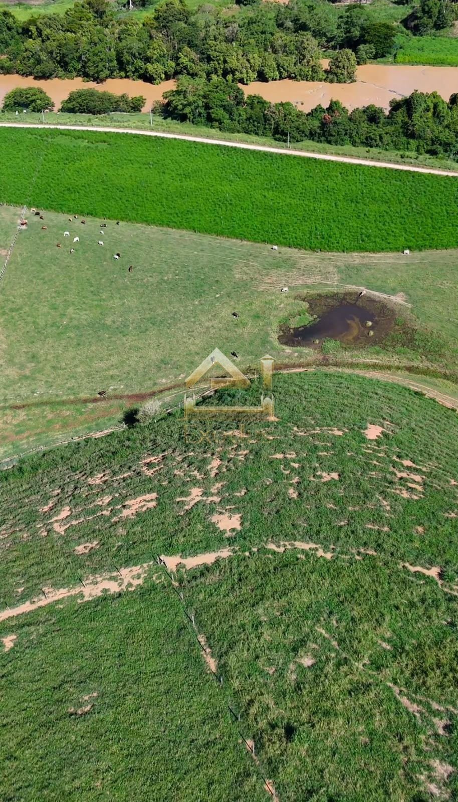 Propriedade Rural à 20 min de Cachoeiro — foto 4